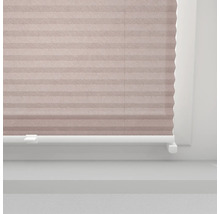 Plissee Rollo am Fenster