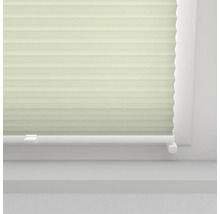 Nahaufnahme eines Faltstores am Fenster