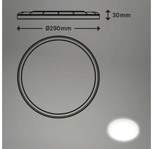 Schéma technique d'un plafonnier rond d'un diamètre de 290 mm et d'une hauteur de 30 mm.