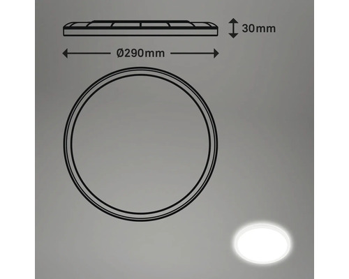 Schéma technique d'un plafonnier rond d'un diamètre de 290 mm et d'une hauteur de 30 mm.