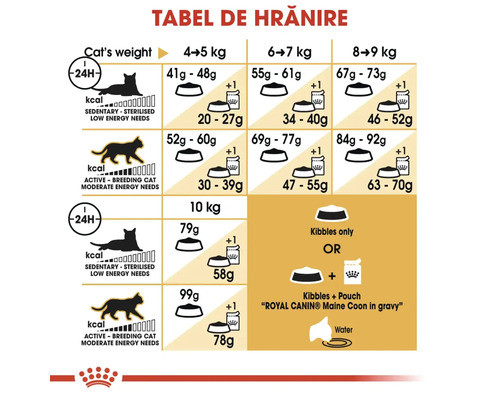 Tableau d''alimentation pour chats pesant entre 4 et 10 kilogrammes, selon le niveau d''activité