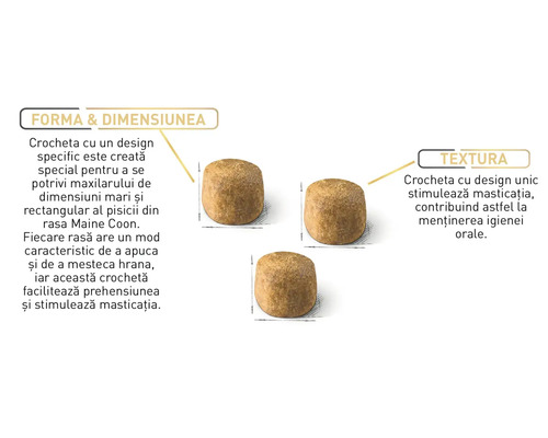 Croquette au design spécial pour chats Maine Coon