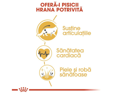 L''image fait la promotion d''aliments pour chats qui soutiennent la santé des articulations, la santé cardiaque et une peau et un pelage sains.