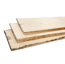 Drei naturbelassene Baumscheiben aus Holz