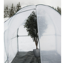 Gewächshaus mit Pflanze im Winter