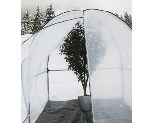 Gewächshaus mit Pflanze im Wintergarten