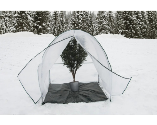 Pflanzenschutzhaus im Schnee mit Baum im Topf