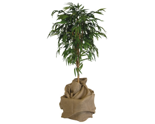 Plante artificielle de bambou dans un sac de jute