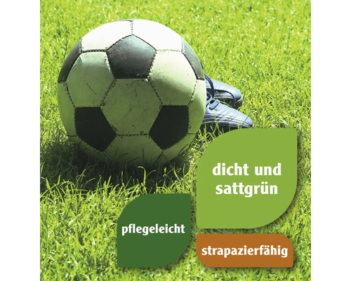 Fussball und Fussballschuhe auf Rasen mit den Hinweisen dicht und sattgrün, pflegeleicht und strapazierfähig