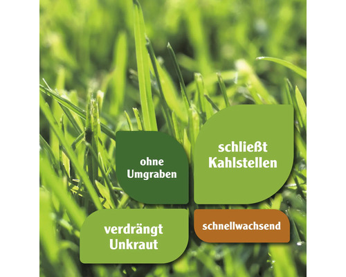 Produktmerkmale: ohne Umgraben, schliesst Kahlstellen, verdrängt Unkraut, schnellwachsend