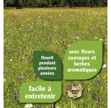 Prairie fleurie avec des indications sur la période de floraison, les fleurs sauvages, les herbes aromatiques et la facilité d''entretien