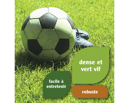 Ballon de foot sur gazon avec indications sur son aspect dense, facile d''entretien et robuste