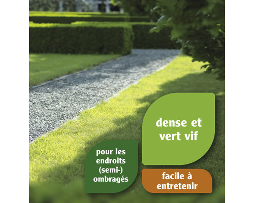 Jardin avec pelouse et chemin de gravier