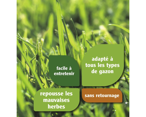 Caractéristiques des graines de gazon : facile d’entretien, adapté à tous les types de gazon, repousse les mauvaises herbes, sans retournement.
