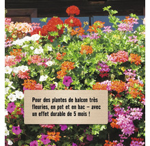 Jardinière avec diverses fleurs sur le balcon