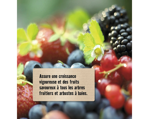 Diverses baies et une note avec des informations sur la croissance des plantes