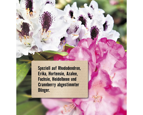 Dünger speziell für Rhododendron, Erika, Hortensie, Azalee, Fuchsie, Heidelbeere und Cranberry