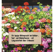 Blühende Balkon-, Topf- und Kübelpflanzen mit Langzeiteffekt.