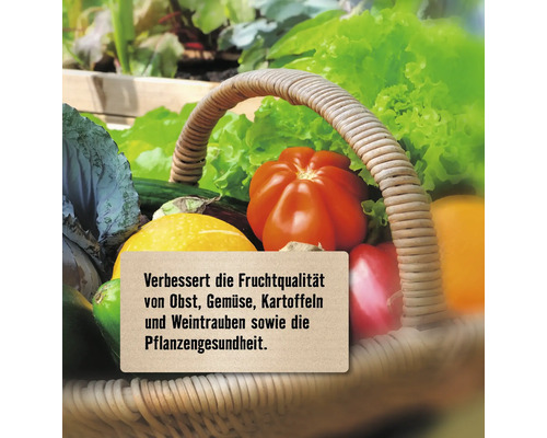 Gemüse und Obst im Weidenkorb