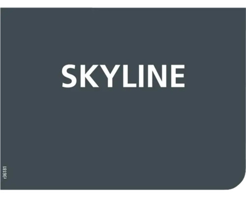 Champ de couleur Skyline