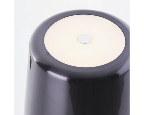 Gros plan d''un pot de fleurs rond et foncé avec un insert clair