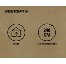 Eigenschaften: Geeignet für Innenräume, Baumhöhe 240 Zentimeter