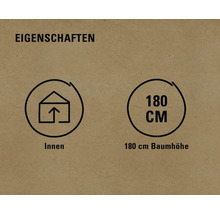 Eigenschaften: Innenbereich geeignet, 180 cm Baumhöhe