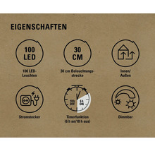 Eigenschaften: 100 LED Leuchten, 30 Zentimeter Beleuchtungsstrecke, Innen- und Außenbereich, Stromstecker, Timerfunktion sechs Stunden an und achtzehn Stunden aus, dimmbar