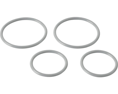 Vier Dichtungsringe