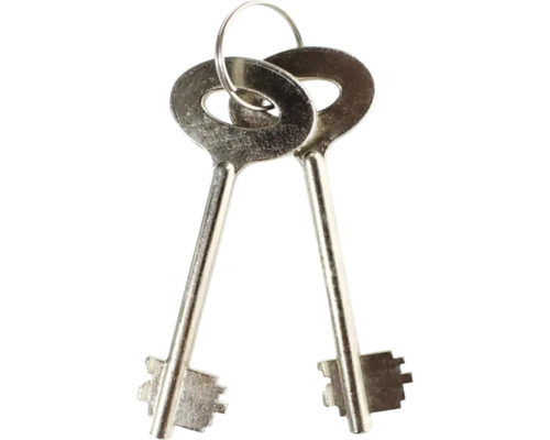 Deux clés sur un porte-clés