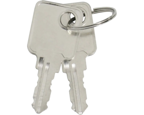 Deux clés sur un porte-clés