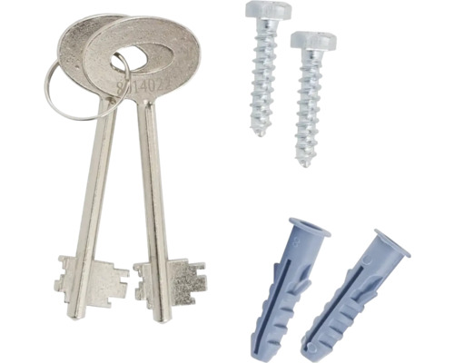 Deux clés sur un porte-clés, deux vis et deux chevilles.