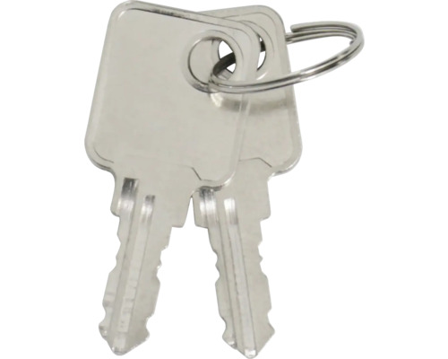 Deux clés avec porte-clés