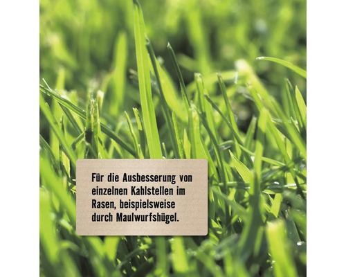 Grashalme mit Hinweisschild zur Ausbesserung kahler Stellen im Rasen