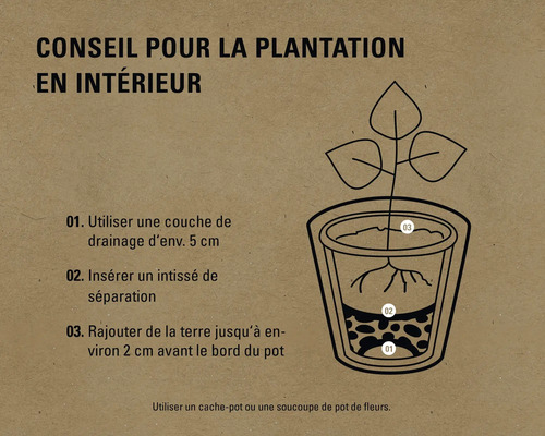 Instructions pour la plantation à l''intérieur avec des instructions pour la couche de drainage, le tissu de séparation et le remplissage de terre
