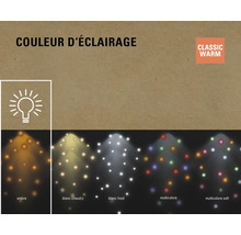 Différentes couleurs d''éclairage au choix : Ambre, Blanc chaud, Blanc froid, Multicolore, Multicolore doux