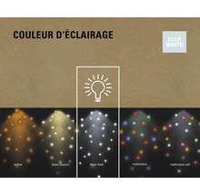 Différentes couleurs de lumière comme l''ambre, le blanc chaud, le blanc froid et le multicolore