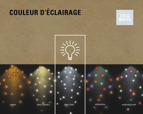 Différentes couleurs de lumière comme l''ambre, le blanc chaud, le blanc froid et le multicolore
