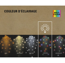 Différentes couleurs d''éclairage : ambre, blanc chaud, blanc froid, multicolore et multicolore doux.