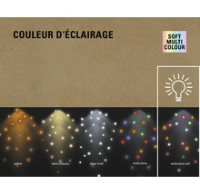 Différentes couleurs d''éclairage: ambre, blanc chaud, blanc froid, multicolore et multicolore doux