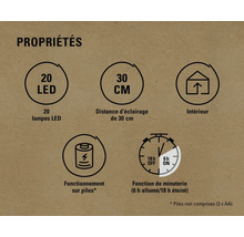Propriétés : 20 lampes LED, distance d''éclairage de 30 cm, intérieur, fonctionne sur piles, fonction de minuterie