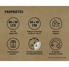 Caractéristiques du produit : 80 plus 50 LED, 65 plus 45 centimètres, convient pour l’intérieur et l’extérieur, fonctionnement sur piles, fonction de minuterie, intensité lumineuse variable