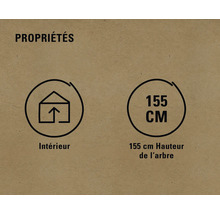 Propriétés: Convient pour l''intérieur, hauteur de l''arbre 155 centimètres