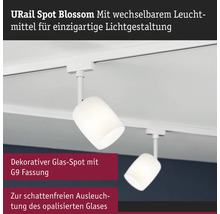 URail Spot Blossom mit wechselbarem Leuchtmittel an einer weissen Schiene