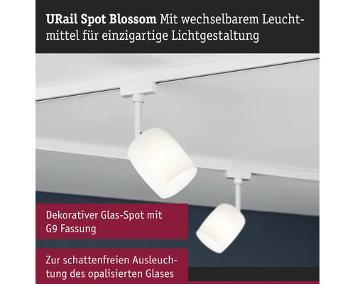 URail Spot Blossom mit wechselbarem Leuchtmittel an einer weissen Schiene