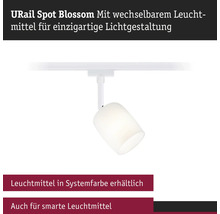 URail Spot Blossom mit austauschbarem Leuchtmittel zur Lichtgestaltung