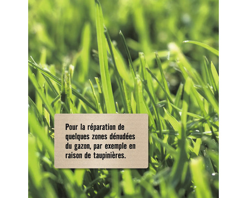 Réparation du gazon pour les zones dénudées, par exemple à cause des taupinières.