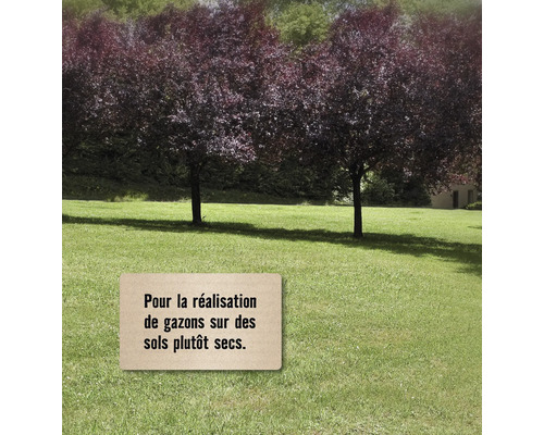 Pelouse avec arbres et mentionnant qu''elle convient aux sols secs