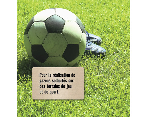 Ballon de foot et chaussures de football sur gazon avec panneau pour gazon résistant sur aires de jeux et terrains de sport