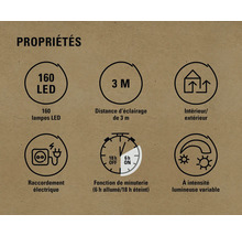 Propriétés : 160 LED, distance d’éclairage de 3 m, convient pour l’intérieur et l’extérieur, branchement électrique, fonction de minuterie (6 h allumée/18 h éteinte), intensité lumineuse variable